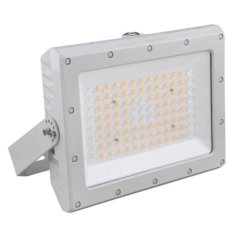 https://ik.imagekit.io/i8bwuhiaq8/o/productImages%2Fexpf 240w resized.jpg?alt=media 